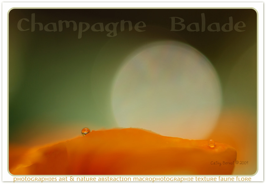 Galeries photos art et nature en Champagne. 
	Peintures acryliques. Regard(s) de femmes.