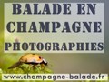 Informations about : Balade en Champagne - Photographie Peinture 