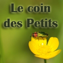 Balade en Champagne : Le coin des petits