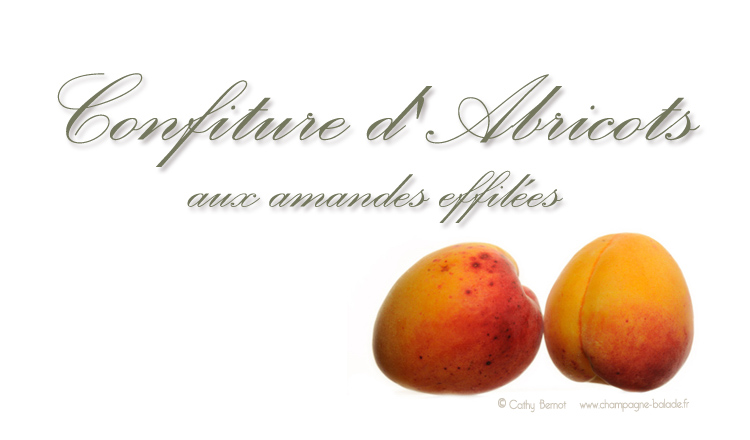 Etiquette confiture d'abricot, conserve d'abricot