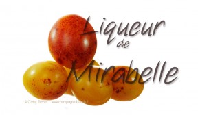 liqueur de mirabelle