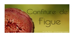 figue-etiquette-confiture-fruit