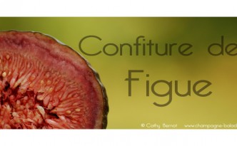 figue-etiquette-confiture-fruit