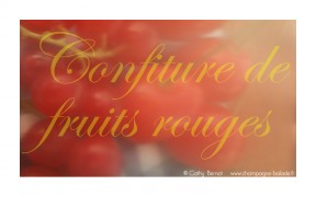fruits-rouges-confiture-jardin-recette