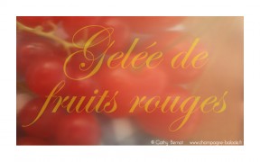 fruits-rouges-gelee-jus-etiquette