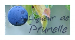 prunelle-liqueur