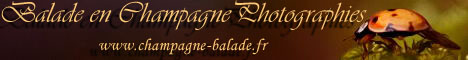 https://www.champagne-balade.fr/
